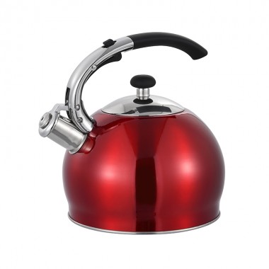 ZH-K004 Stainless Steel Kettle