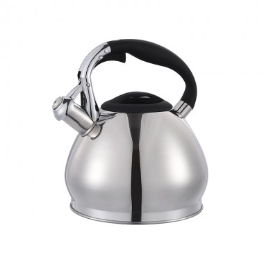 ZH-K005 Stainless Steel Kettle