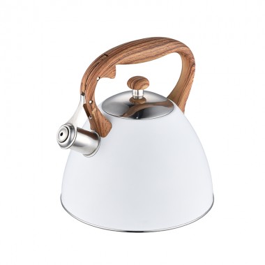 ZH-K002 Stainless Steel Kettle